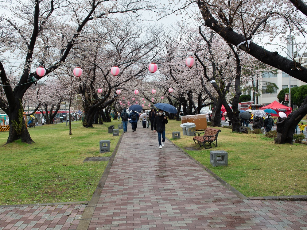 CFAY Hosts Spring Festival for First Time in Four Years