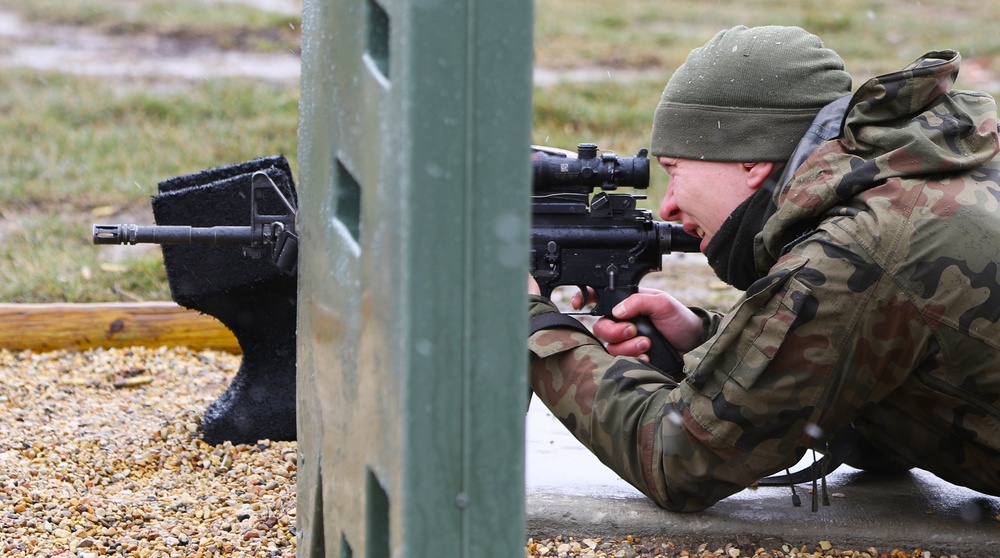 ILLINOIS NATIONAL GUARD SOLDIERS RECEIVE POLISH ARMED FORCES MEDAL