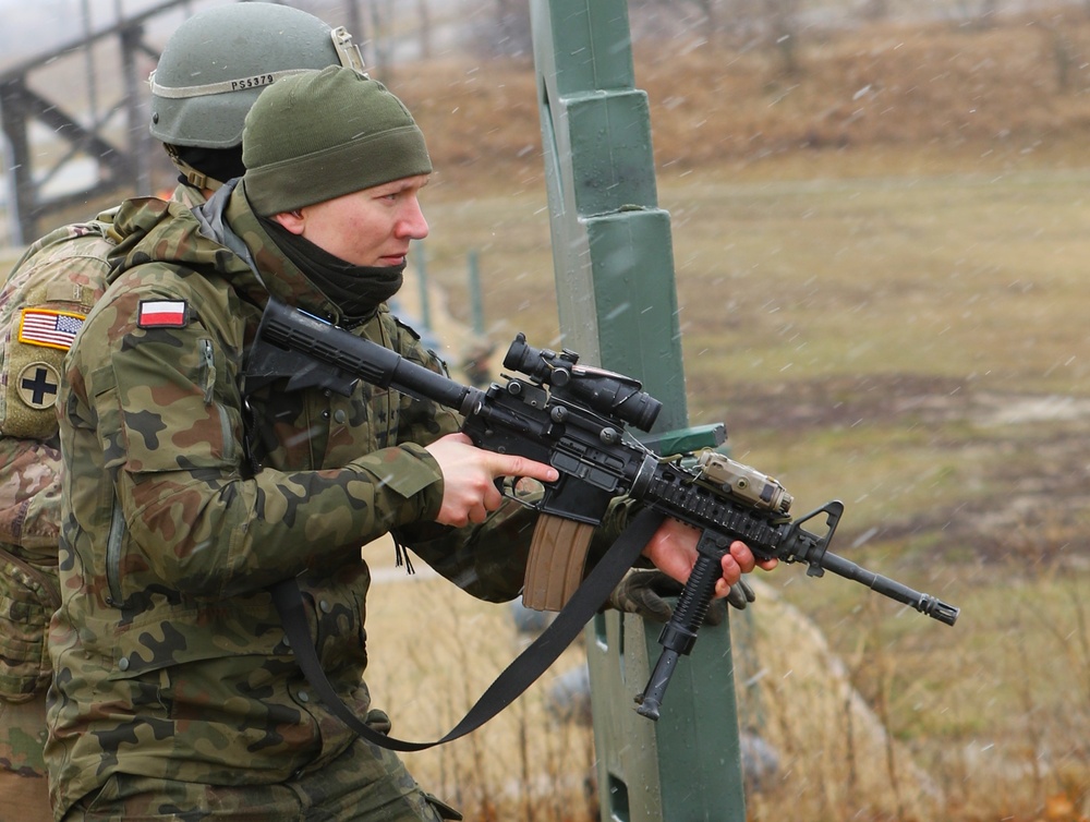 ILLINOIS NATIONAL GUARD SOLDIERS RECEIVE POLISH ARMED FORCES MEDAL