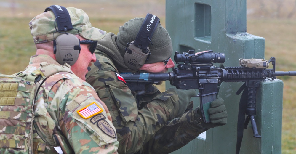 ILLINOIS NATIONAL GUARD SOLDIERS RECEIVE POLISH ARMED FORCES MEDAL