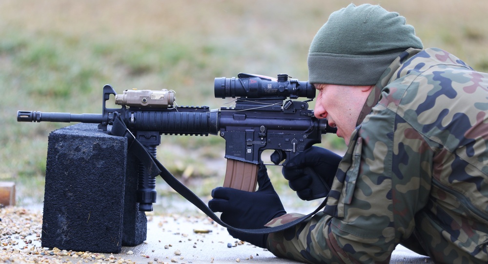 ILLINOIS NATIONAL GUARD SOLDIERS RECEIVE POLISH ARMED FORCES MEDAL