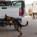 PSAB EOD and MWD conduct joint exercise