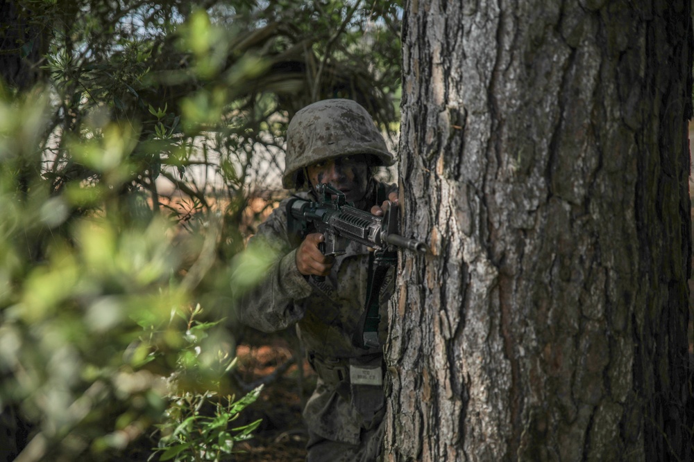 Delta Company Crucible