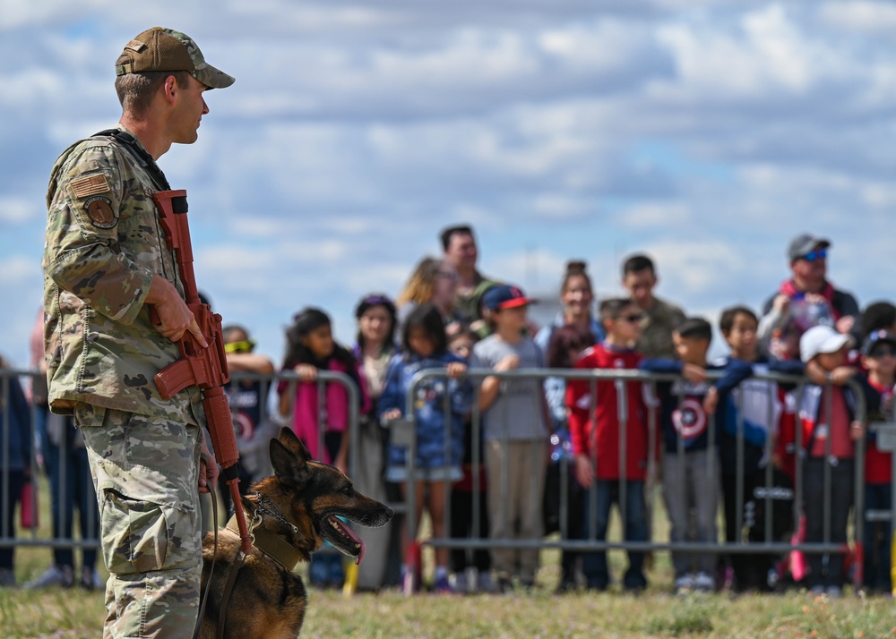 STEM day: military working dog demonstration