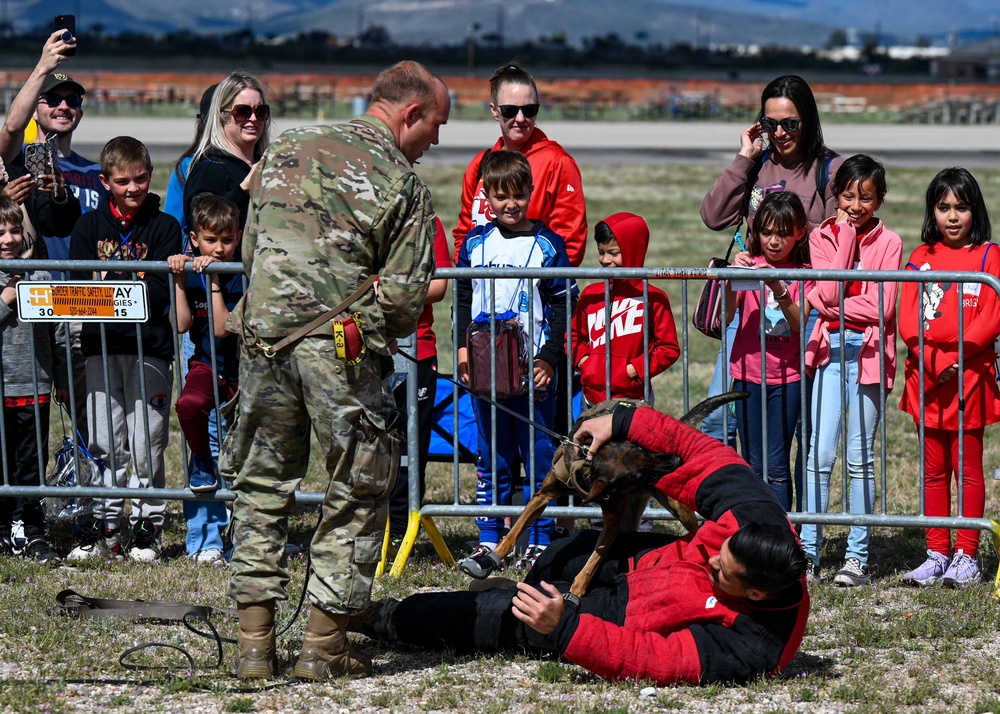 STEM day: military working dog demonstration