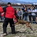 STEM day: military working dog demonstration