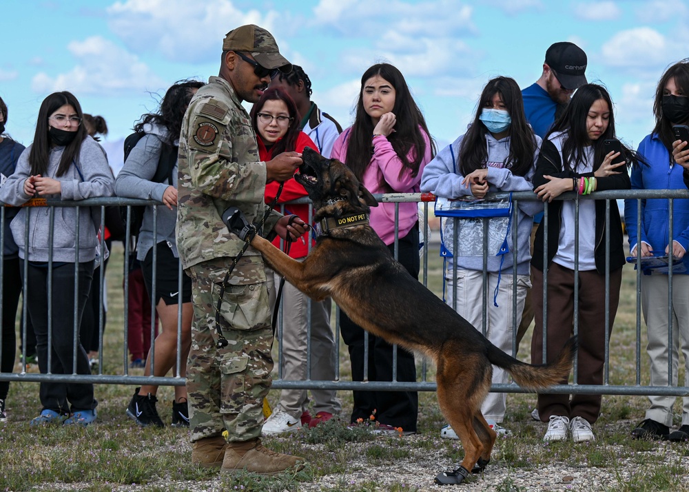 STEM day: military working dog demonstration