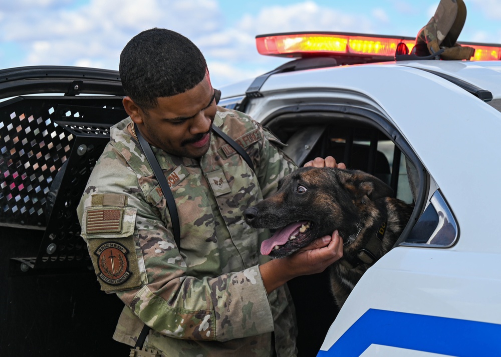 STEM day: military working dog demonstration