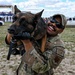 STEM day: military working dog demonstration