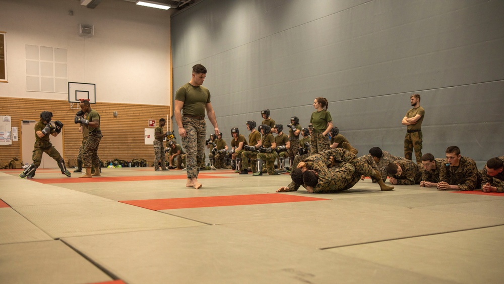 2d CEB and Norwegian Army MCMAP Course