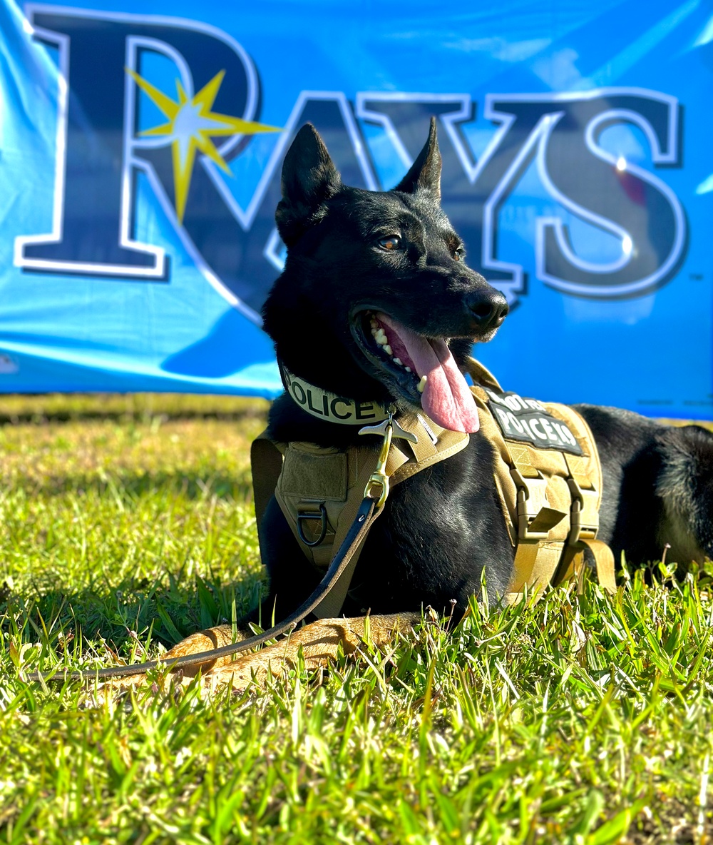 MacDill hosts Tampa Bay Rays