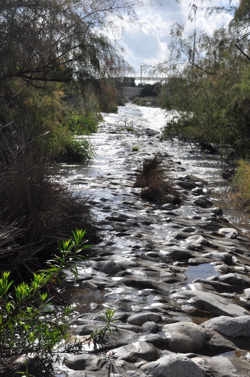 Corps removes 144 tons of debris from San Gabriel River