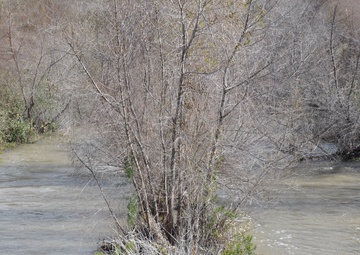 Corps removes 144 tons of debris from San Gabriel River