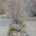 Corps removes 144 tons of debris from San Gabriel River