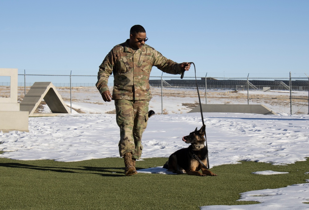 Buckley Security Forces