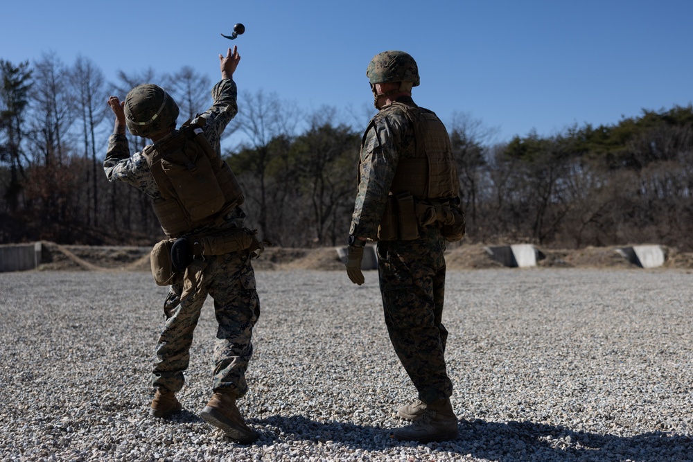 MWSS-172 GRENADE RANGE