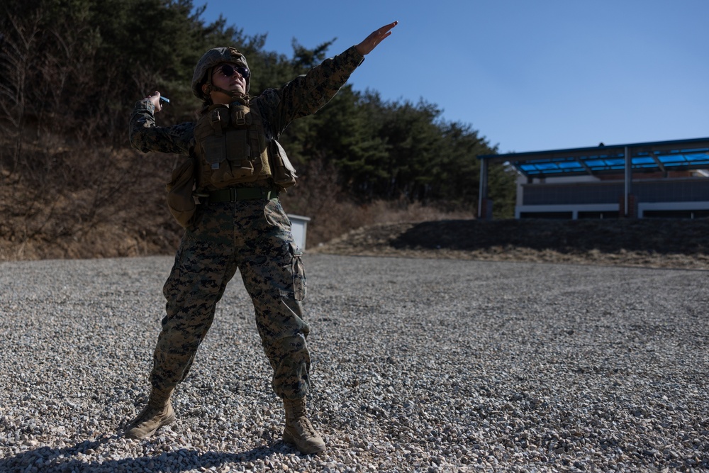 MWSS-172 GRENADE RANGE