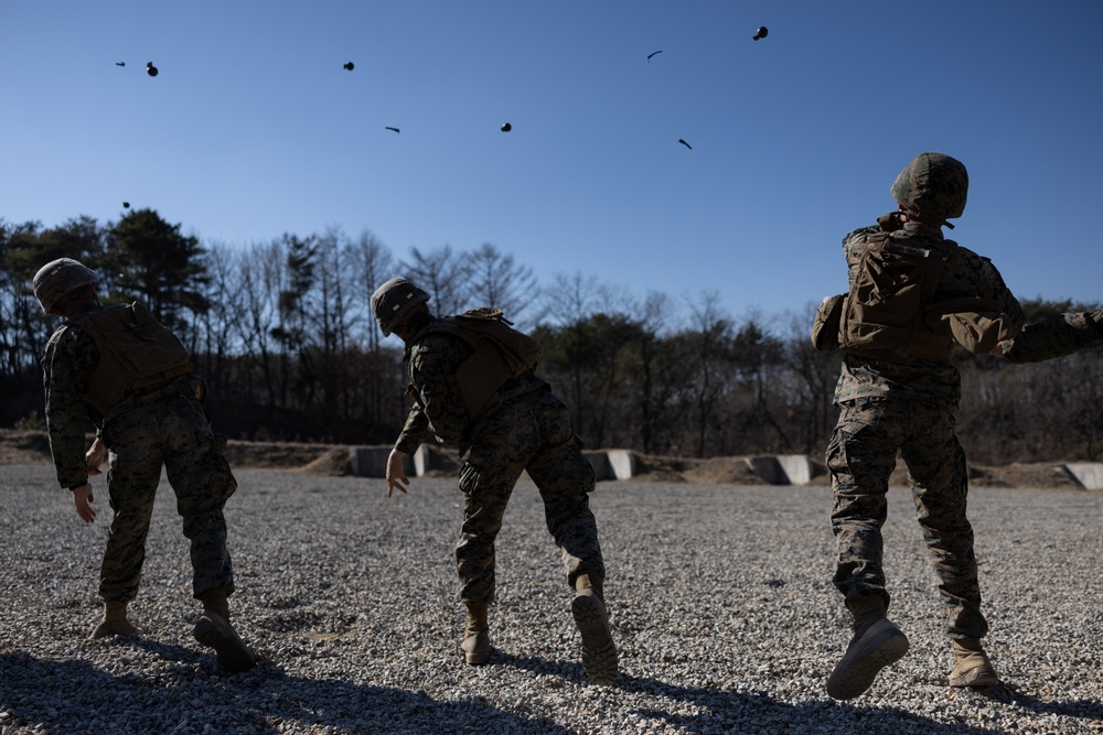 MWSS-172 GRENADE RANGE