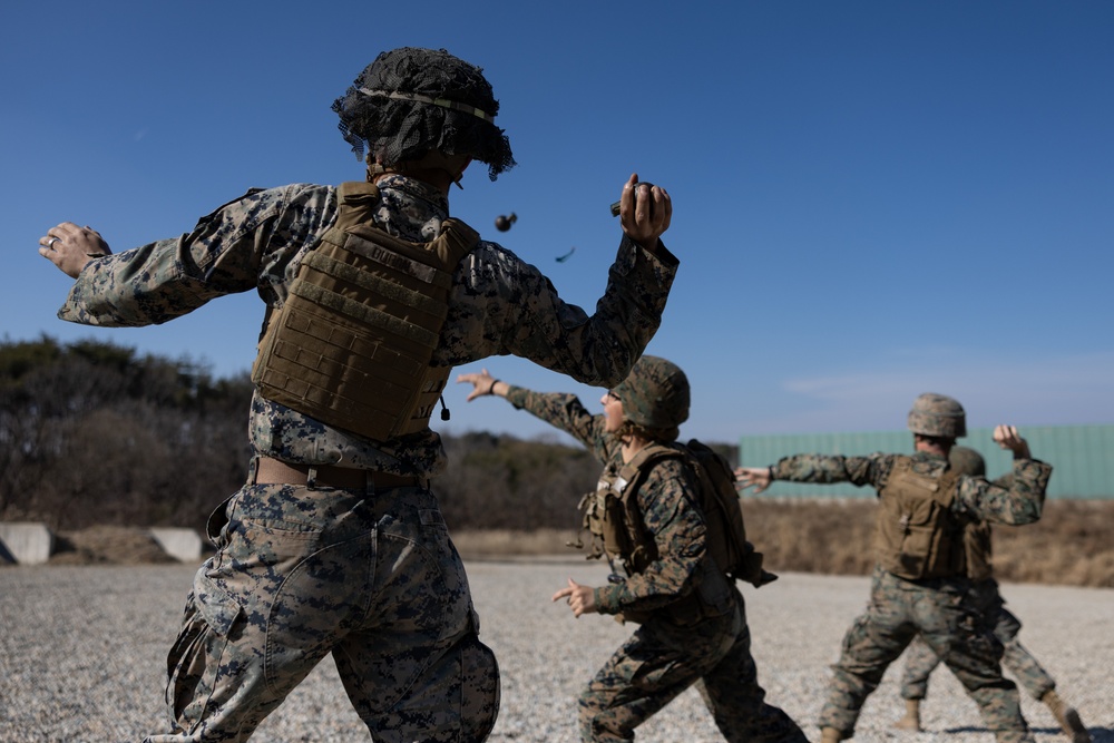 MWSS-172 GRENADE RANGE