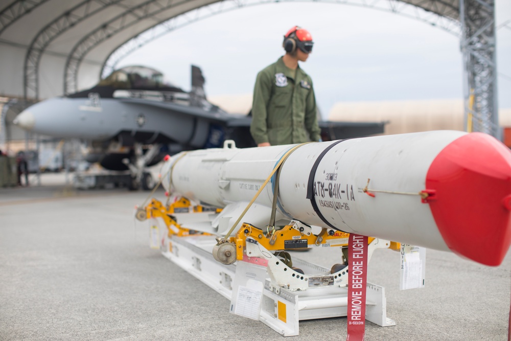 VMFA-115 Loads SLAM-ER, Hot Loads Harpoons