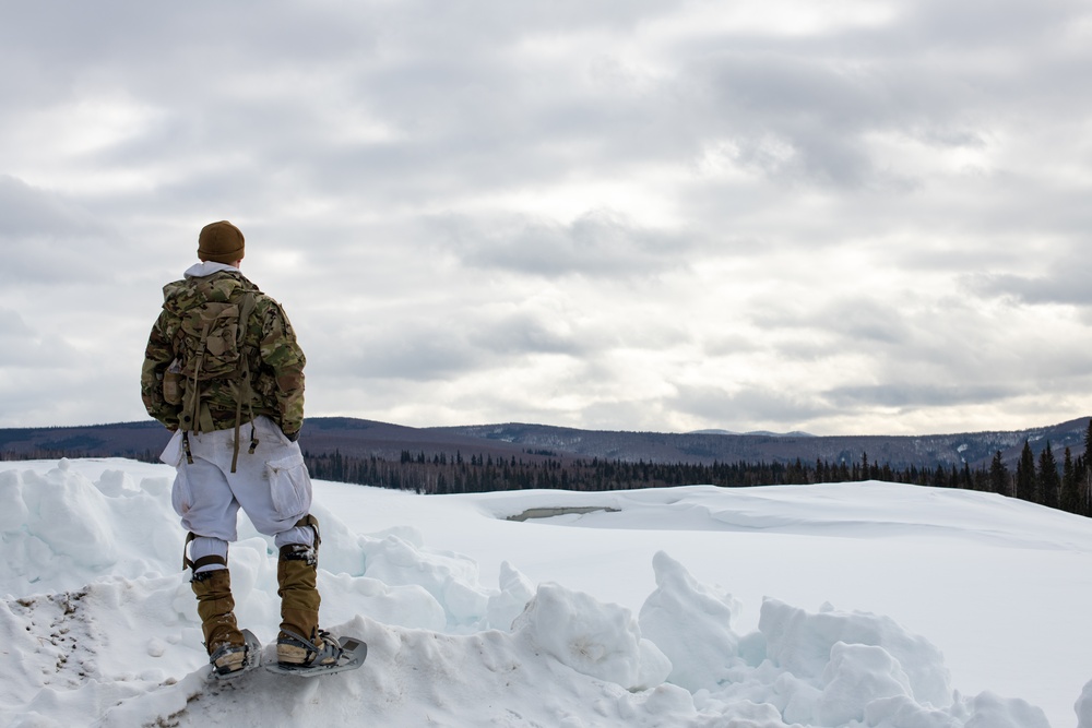 '3 Geronimo' conducts winter overland movement during JPMRC-AK 23-02