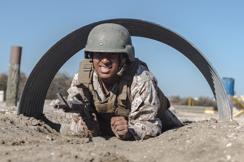 Fox Company BAC &amp; Pugil Sticks