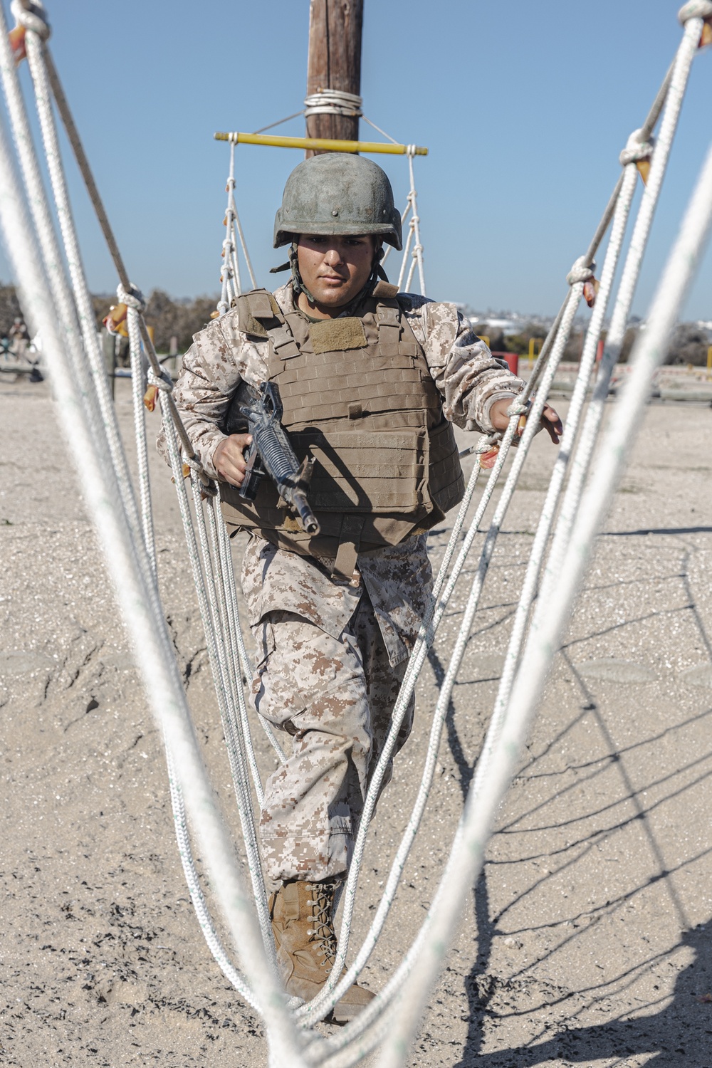 Fox Company BAC &amp; Pugil Sticks