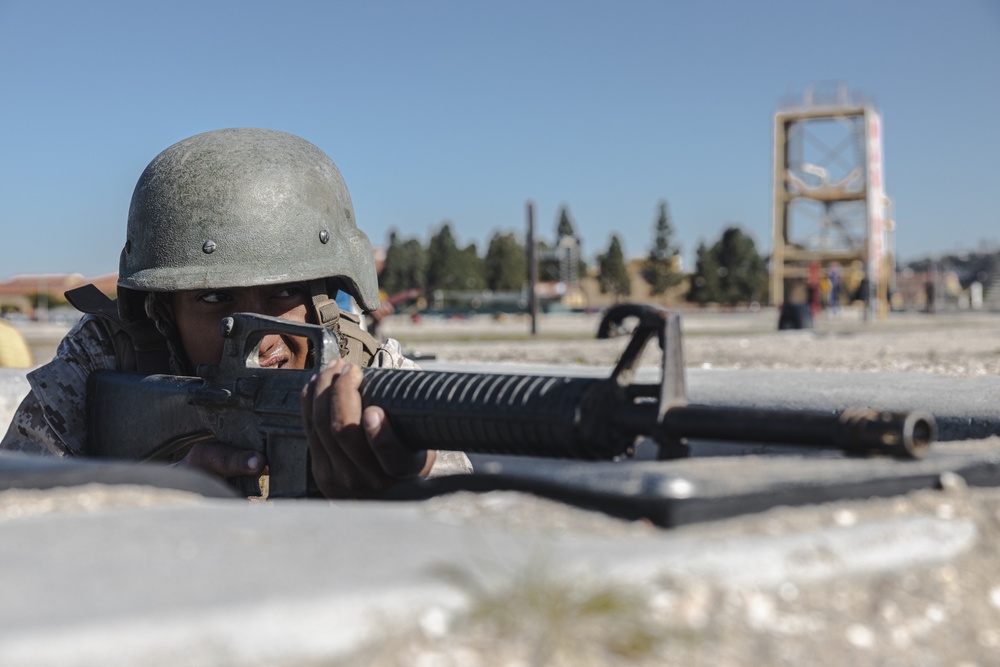 Fox Company BAC &amp; Pugil Sticks