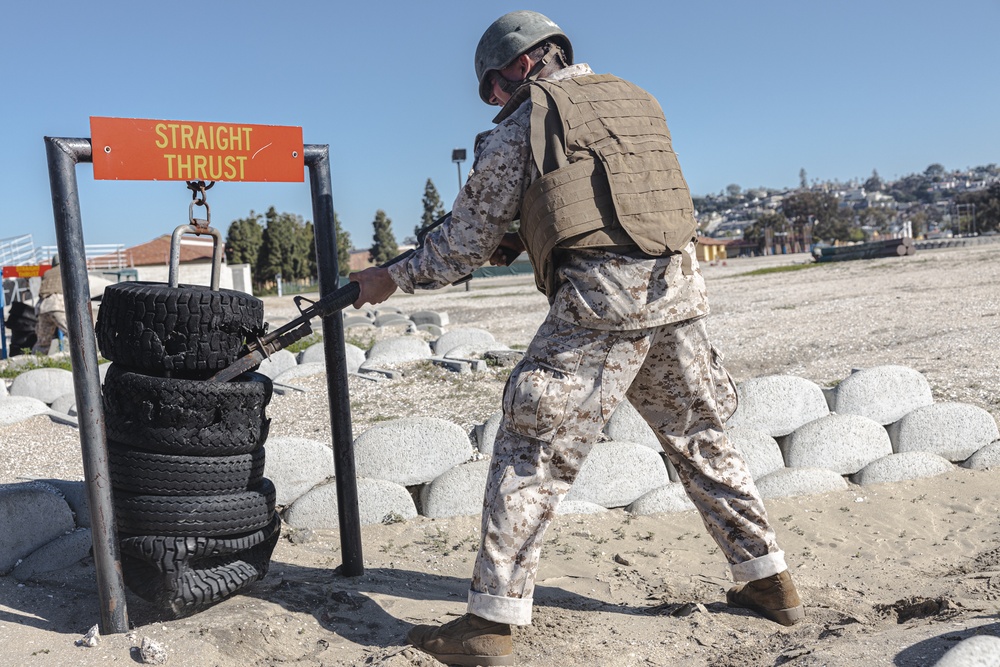 Fox Company BAC &amp; Pugil Sticks