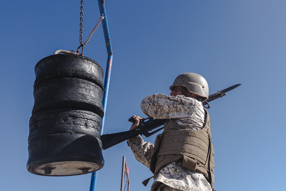 Fox Company BAC &amp; Pugil Sticks