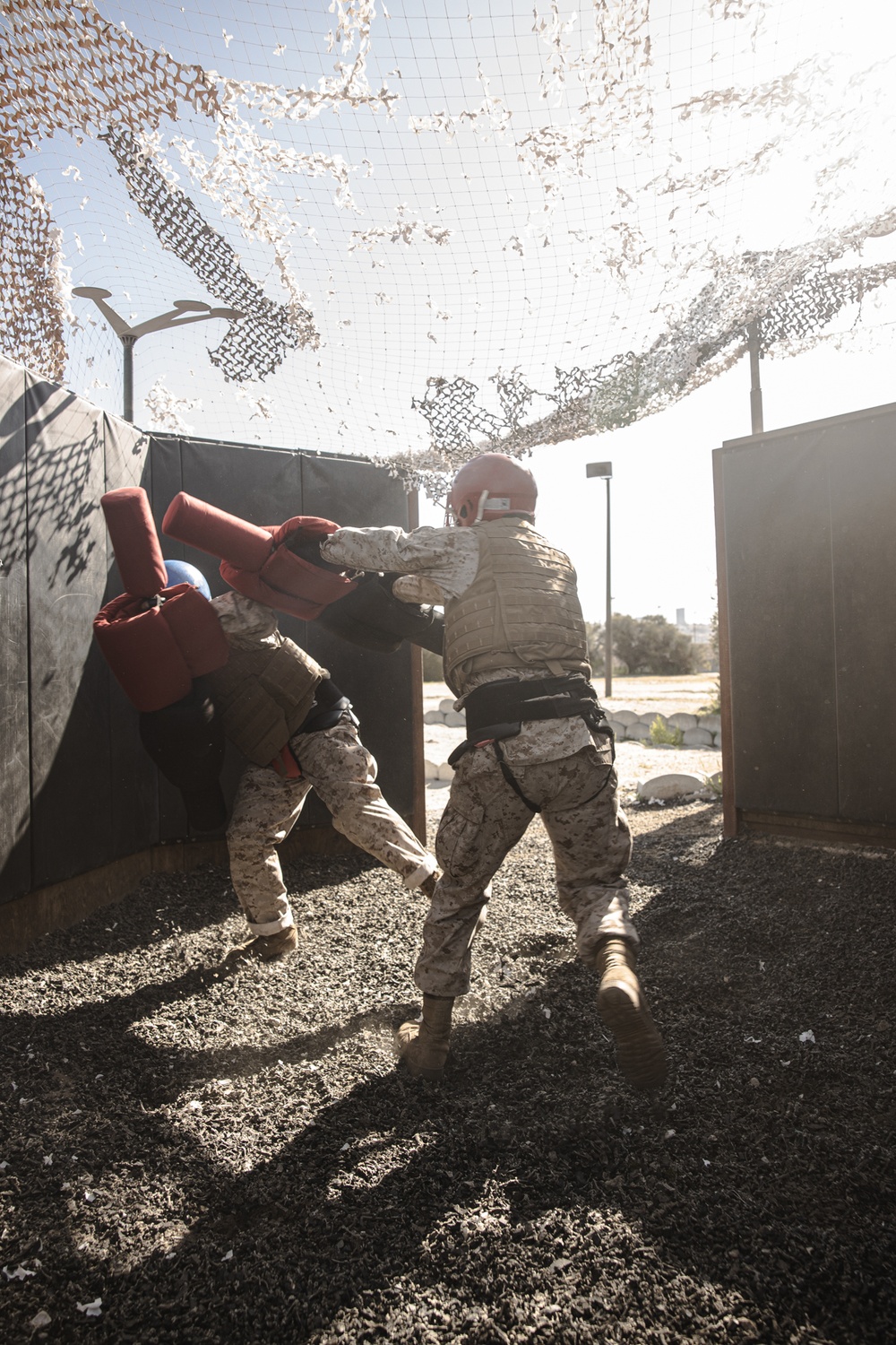 Fox Company BAC &amp; Pugil Sticks