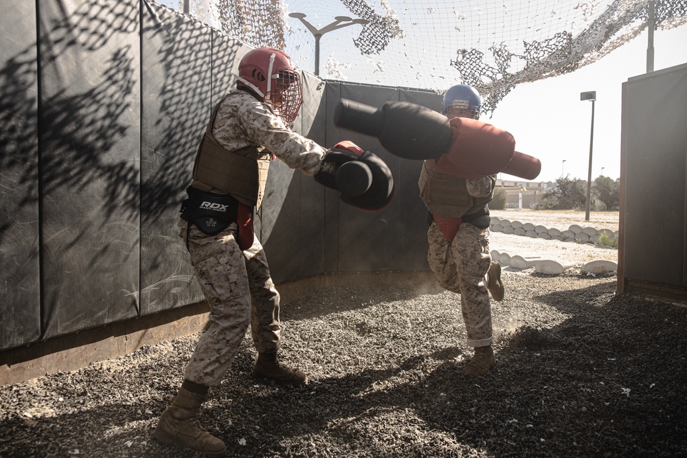 Fox Company BAC &amp; Pugil Sticks