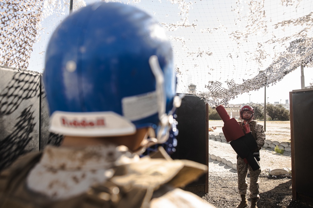 Fox Company BAC &amp; Pugil Sticks