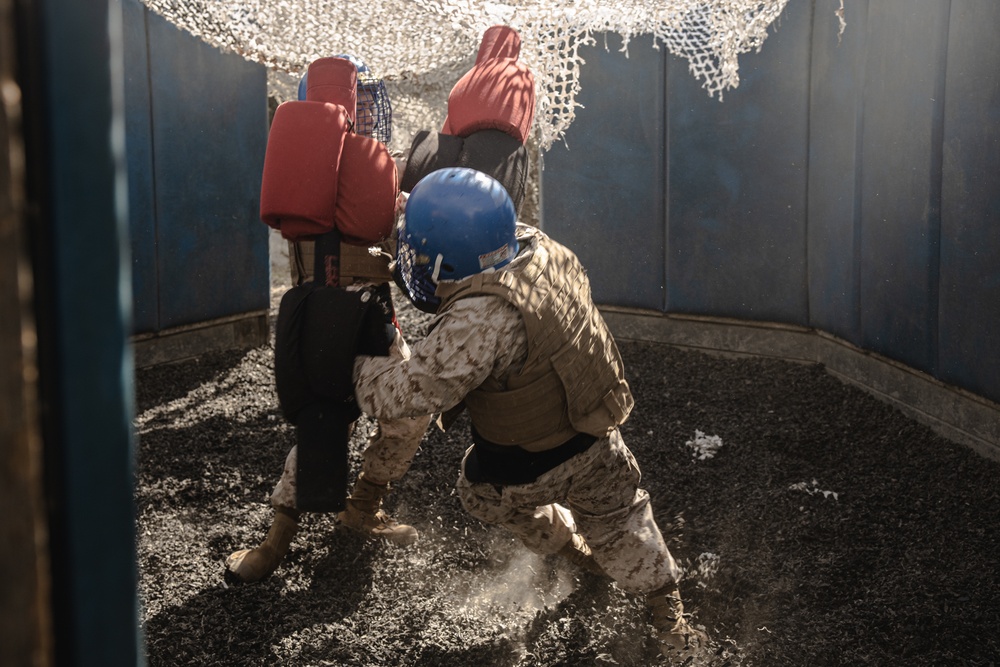 Fox Company BAC &amp; Pugil Sticks