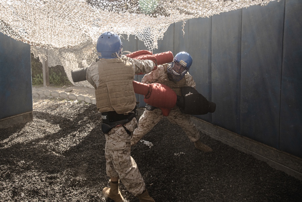 Fox Company BAC &amp; Pugil Sticks