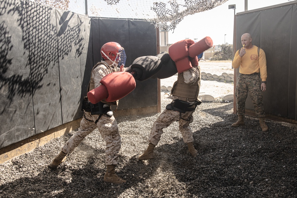 Fox Company BAC &amp; Pugil Sticks