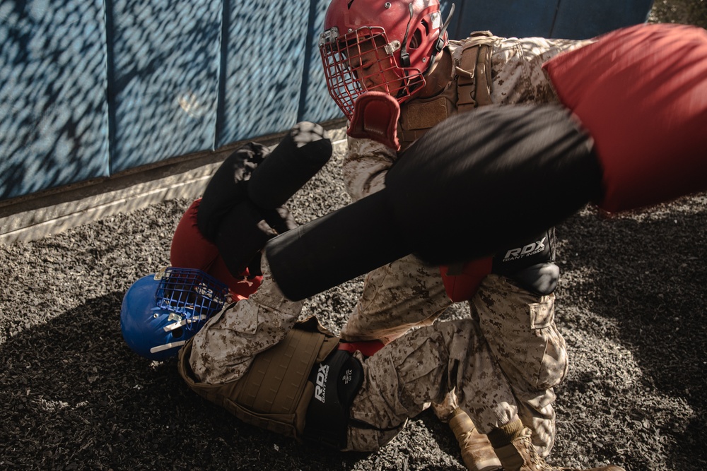 Fox Company BAC &amp; Pugil Sticks