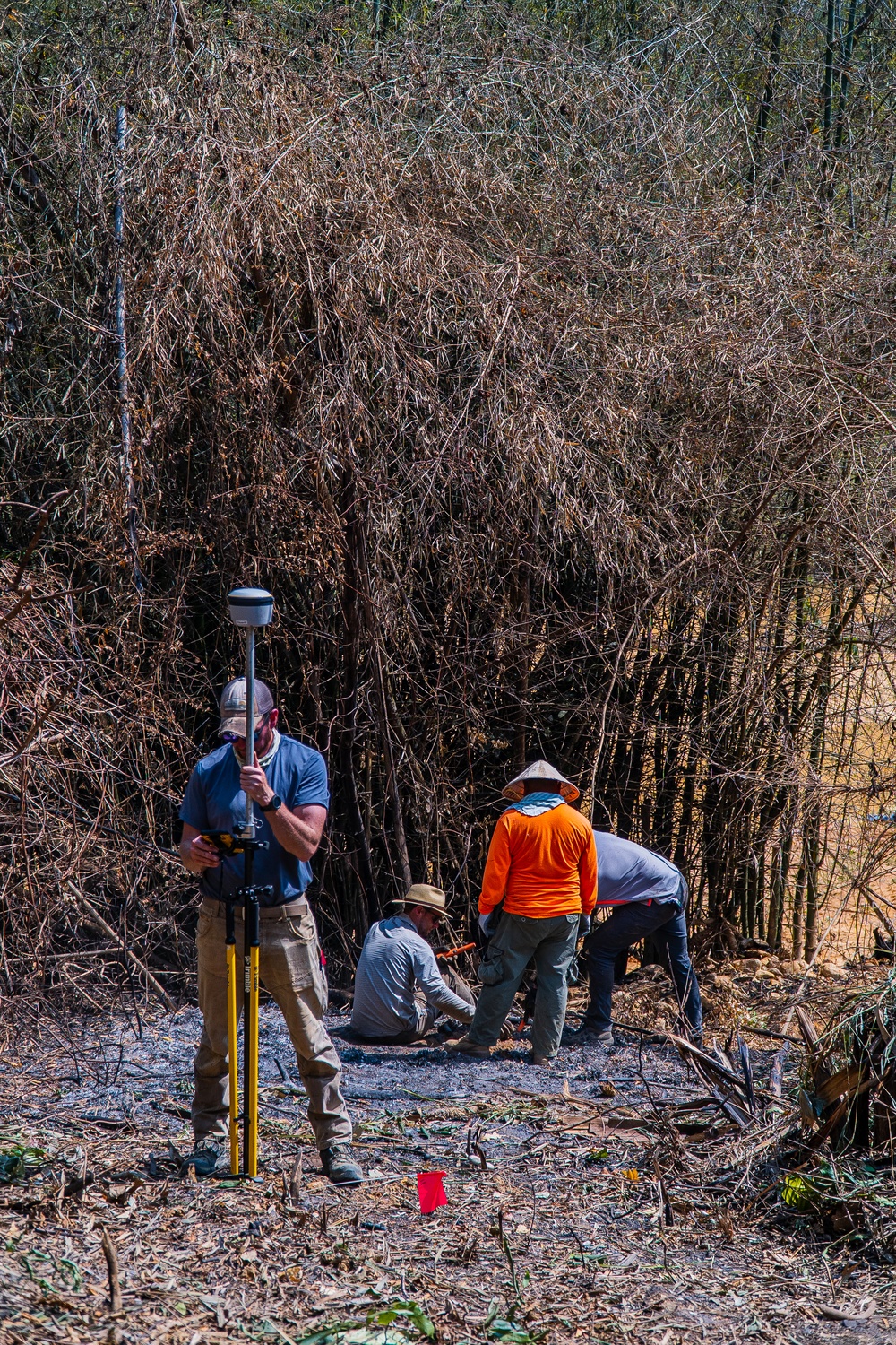 On the hunt