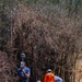 On the hunt