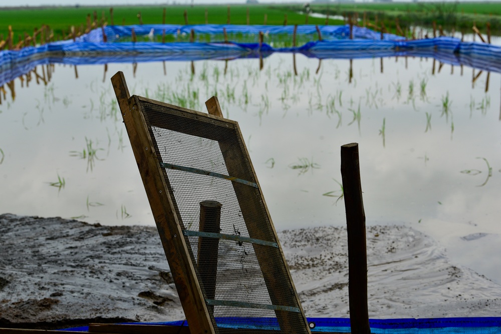 Fulfilling Our Nation's Promise in Vietnam