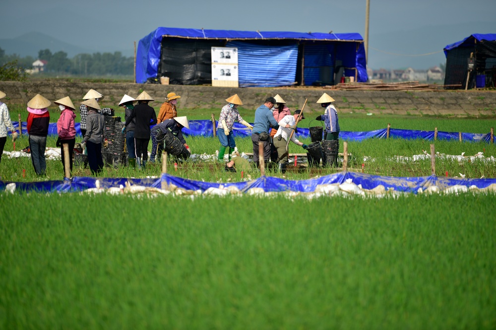 Fulfilling Our Nation's Promise in Vietnam