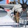 Operation Deep Freeze