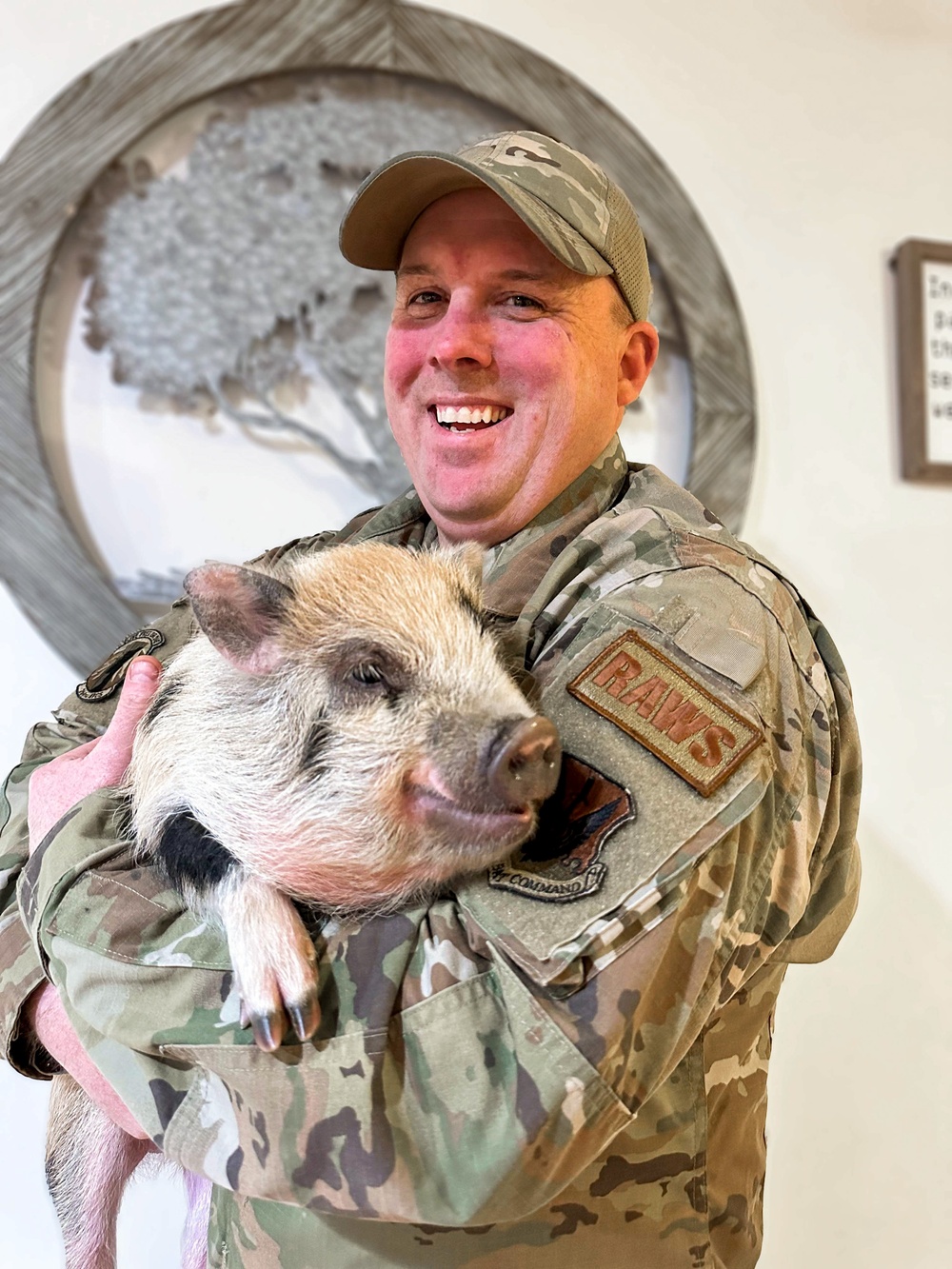 Simon; An Airman’s Piglet on the Run