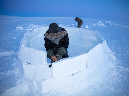 Surviving the Canadian Arctic