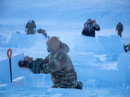 Surviving the Canadian Arctic