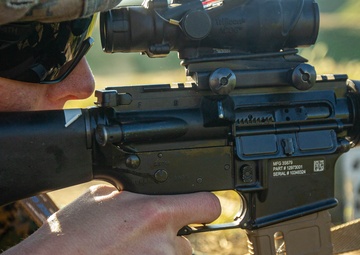Taking Aim at ARQ