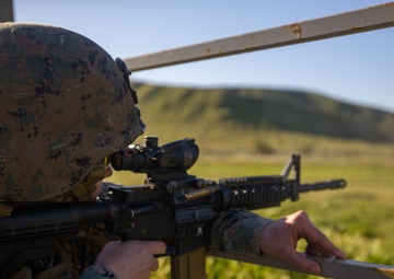 Taking Aim at ARQ