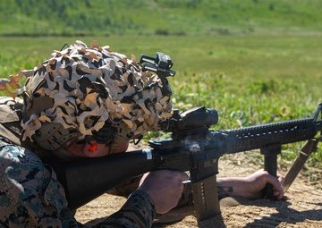 Taking Aim at ARQ