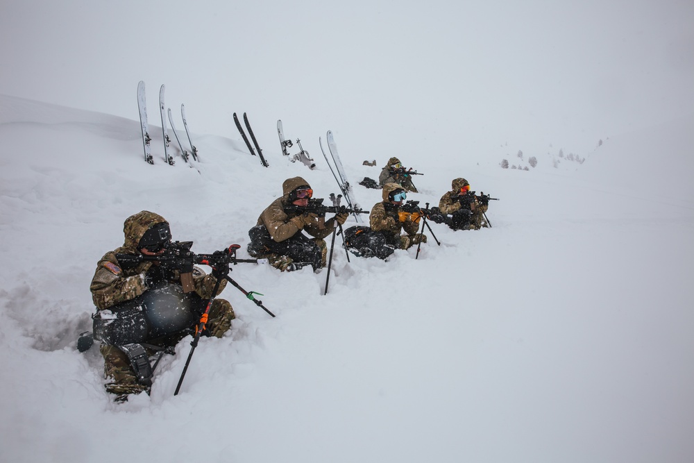 86th IBCT (MTN) competes in the Edelweiss Raid