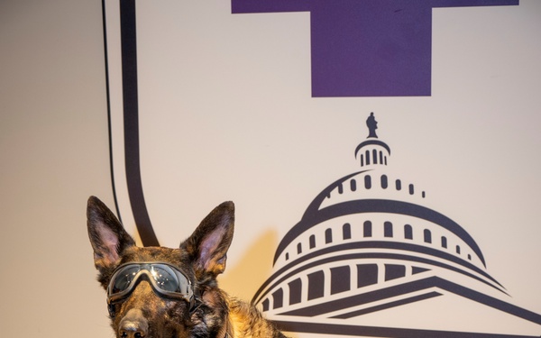 MHS GENESIS at WRNMMC gets a four-legged ‘Super User’